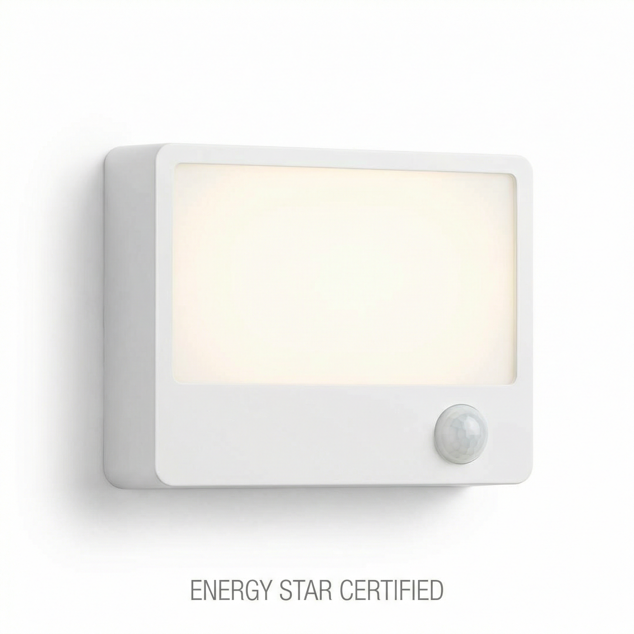 LED Motion Sensor Light